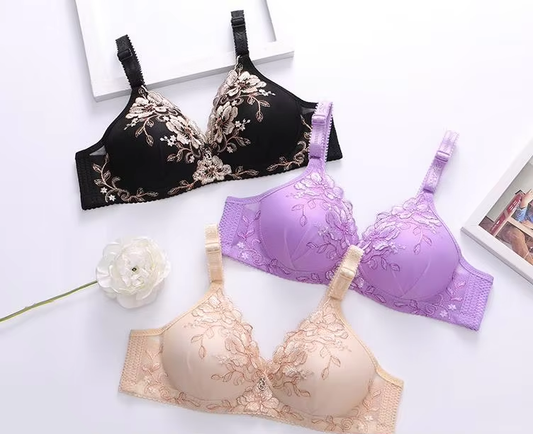 Combo Of 6 Bra & Panties Set Imported